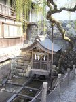 2006.11takayama 017.jpg