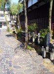 2006.11takayama 022.jpg