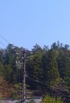 2006.11takayama 032.jpg